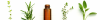 Ayurvedic Products