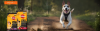 Hero Banner