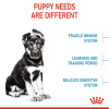 Royal Canin Maxi Range: For Adult Dog Weight Between 26 and 44 Kg Puppy