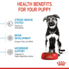Royal Canin Maxi Range: For Adult Dog Weight Between 26 and 44 Kg Puppy