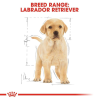 Royal Canin Maxi Range: For Adult Dog Weight Between 26 and 44 Kg Labrador Retriever Puppy