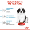 Royal Canin Giant Range: For Adult Dog Weight Over 45 Kg Puppy