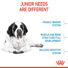 Royal Canin Giant Range: For Adult Dog Weight Over 45 Kg Junior