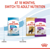 Royal Canin Giant Range: For Adult Dog Weight Over 45 Kg Junior