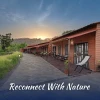 Aaranya Royale Retreat
