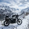 AlpineThrottle Rentals