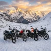 AlpineThrottle Rentals
