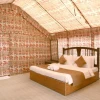 Desert Bloom Camp