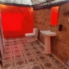 Desert Bloom Camp