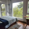 Shady Pines Cottage