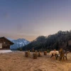 Snowcrest Cottage