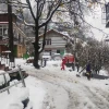 Casa Willow Homestay