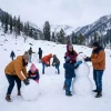 AlpineTorque Adventures