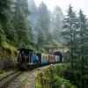 CedroHill Experiences