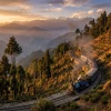 CedroHill Experiences