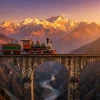 CedroHill Experiences