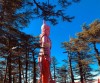 Budget Shimla Manali  Amritsar Tour Package