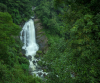 Budget Kerala Package Munnar Alleppey Tour With Houseboat