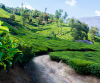 Best  Kerala Tour Package  With Houseboat