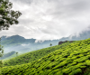 Budget Kerala Munnar Thekkady  Alleppey Tour With Houseboat