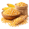 Whole Maize / Corn (मक्की साबुत)