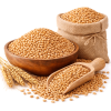 Wheat (गेहूं)