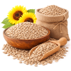 Sunflower Seeds (सनफ्लावर सीड)