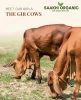 A2 Bilona Desi Ghee (A2 बिलोना देशी घी)
