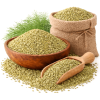 Fennel Seeds Saunf (सौंफ)